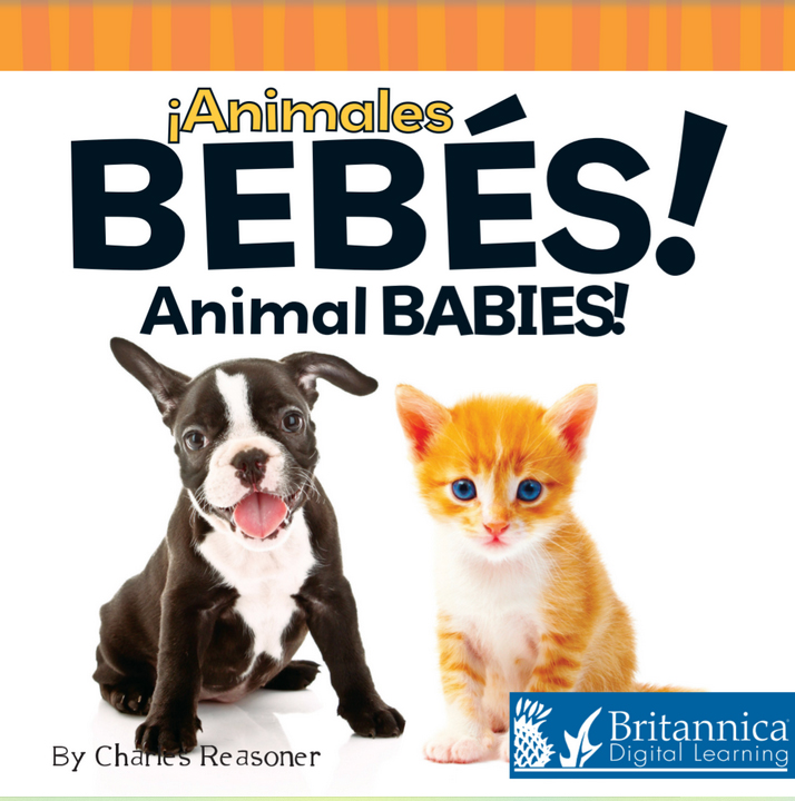 Cover of Animal Babies book in Spanish