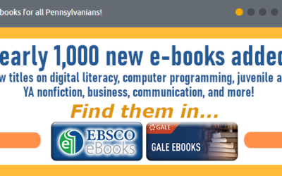 EBooks for Digital Skills and Computer Technology in POWER Library