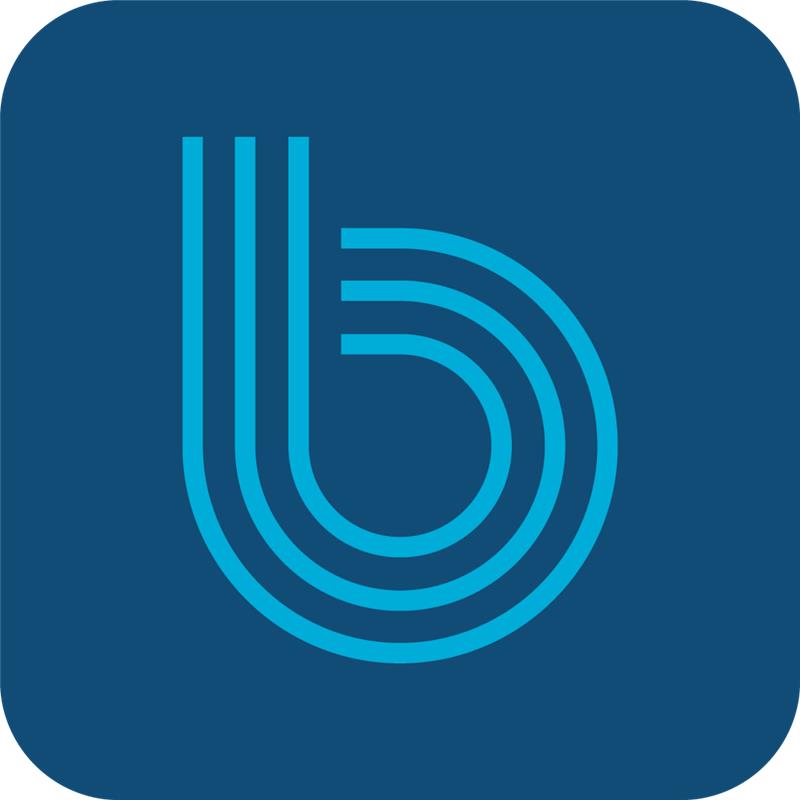 Boundless eBook service logo