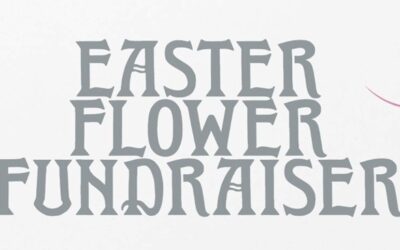 Spring Goodies @ the Pottsville Library