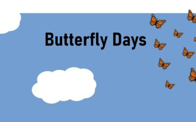 Butterfly Days @ the Pottsville Library